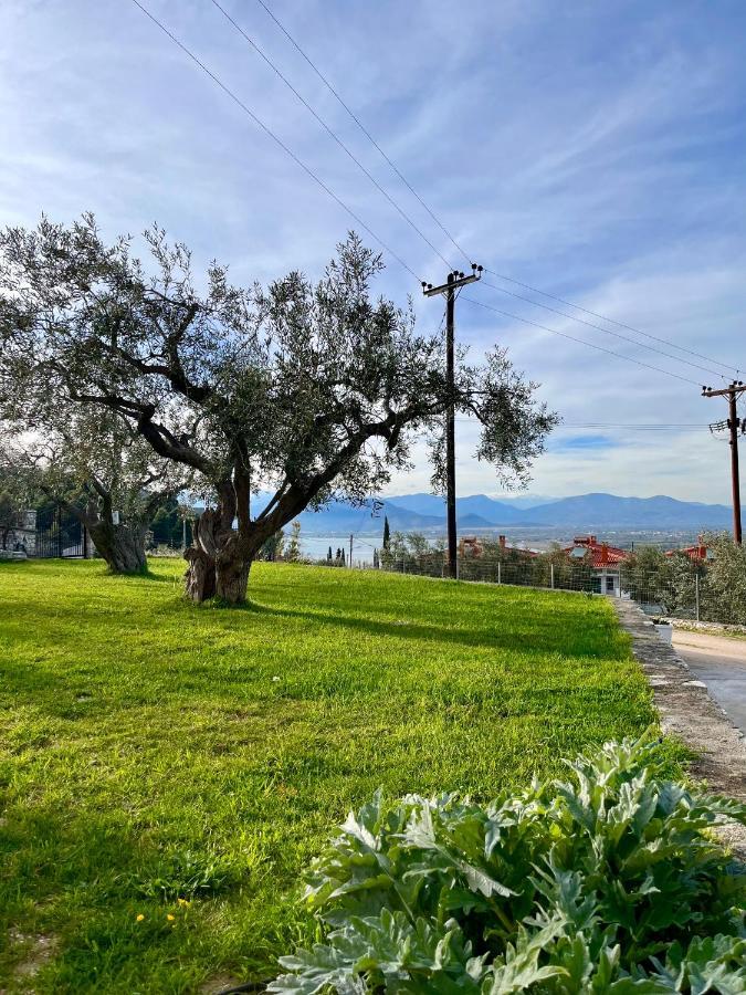 Ενtree Guest House Near Palamidi Castle Nafplio Exteriér fotografie